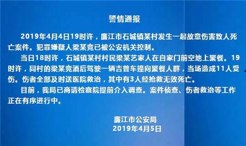 廉江公安局爆料案件最新,揭秘背后惊人内幕