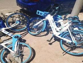 长春单车最新爆料,最新爆料揭秘未来出行新趋势